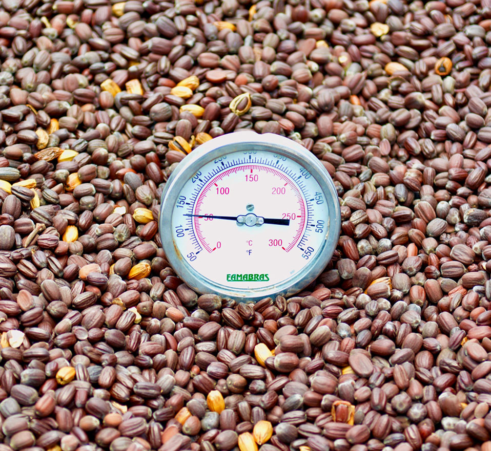 seeds-pic2